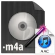 Icon of program: M4A To AC3 Converter Soft…