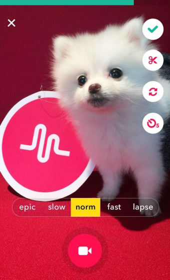 Image 1 for TikTok - including musica…