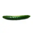 Icon of program: Cucumber Cutter
