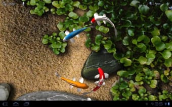 Image 1 for Koi Free Live Wallpaper