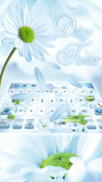 Image 1 for Blooming Daisy Flower