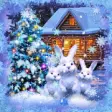 Icon of program: Christmas Night