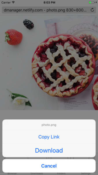 Image 3 for DManager - Browser and Fi…