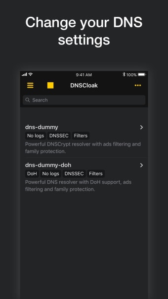 Image 2 for DNSCloak  Secure DNS clie…