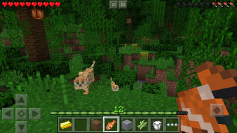Image 3 for Minecraft