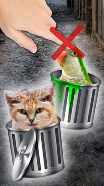 Image 3 for Hello cute cats  Kittens …