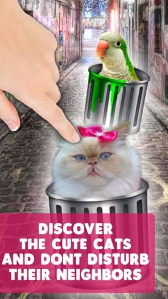 Image 2 for Hello cute cats  Kittens …