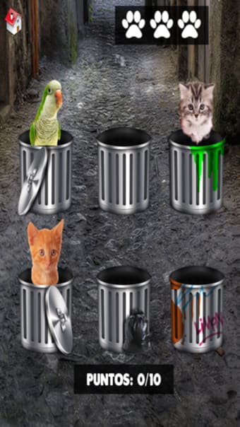 Image 1 for Hello cute cats  Kittens …
