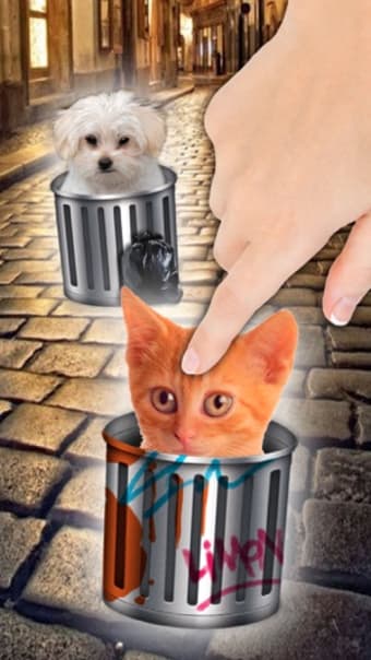 Image 0 for Hello cute cats  Kittens …