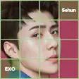 Icon of program: EXO [SEHUN] Puzzle Game