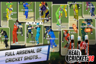 Image 1 for Real Cricket 18