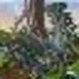 Icon of program: RollerCoaster Tycoon 3 de…