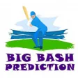 Icon of program: Big Bash Predictions Onli…