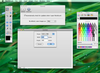 Image 0 for Paintbrush