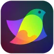 Icon of program: Amadine