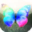 Icon of program: Butter Cam HD