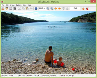 Image 0 for IrfanView (64-bit)