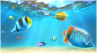 Image 0 for Sim Aquarium Free