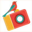 Icon of program: El Collagero for Windows …
