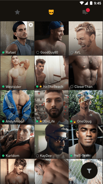 Image 4 for Grindr - Gay chat