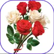 Icon of program: Flowers And Roses Animate…