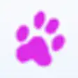 Icon of program: Sensarea