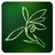 Icon of program: Blumind