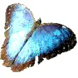 Icon of program: PsyberScan