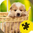Icon of program: Cute Dogs Puppy Jigsaw Pu…
