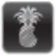 Icon of program: redsn0w