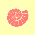 Icon of program: DeepFossil - Fossil ID