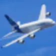 Icon of program: APPA Flight Info for Wind…
