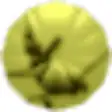 Icon of program: TimeFlyer