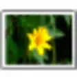 Icon of program: Applied Vision