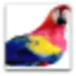 Icon of program: PolyFactors