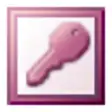 Icon of program: Microsoft Office Access 2…