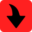 Icon of program: MP4 Downloader Pro