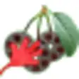 Icon of program: FLV Plucker
