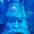 Icon of program: 3D Fish Aquarium Live Wal…
