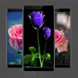 Icon of program: Roses Live Wallpaper 2019