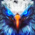 Icon of program: Eagle Wallpaper HD