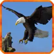 Icon of program: Eagle Live Wallpaper