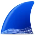 Icon of program: Wireshark