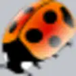 Icon of program: Coccinellida