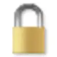 Icon of program: NTFS Access