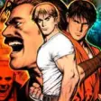 Icon of program: Final Fight Zero for Wind…