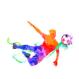Icon of program: Rollover Betting Tips - f…