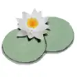 Icon of program: LilyPond