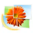 Icon of program: Windows Live Photo Galler…