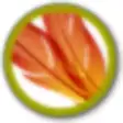 Icon of program: PNG PSD Viewer
